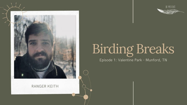 Birding Breaks: Episode 1 - Winter Woodland Birds of Eastern and Central US (Audio only)